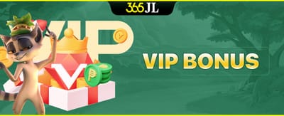 Exclusive VIP Bonus Perks